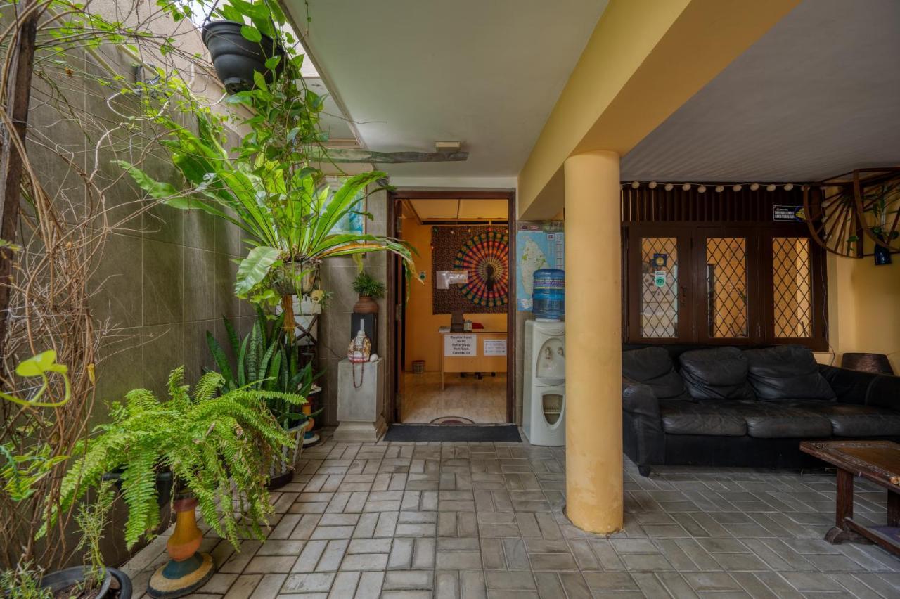 Hostel Drop *